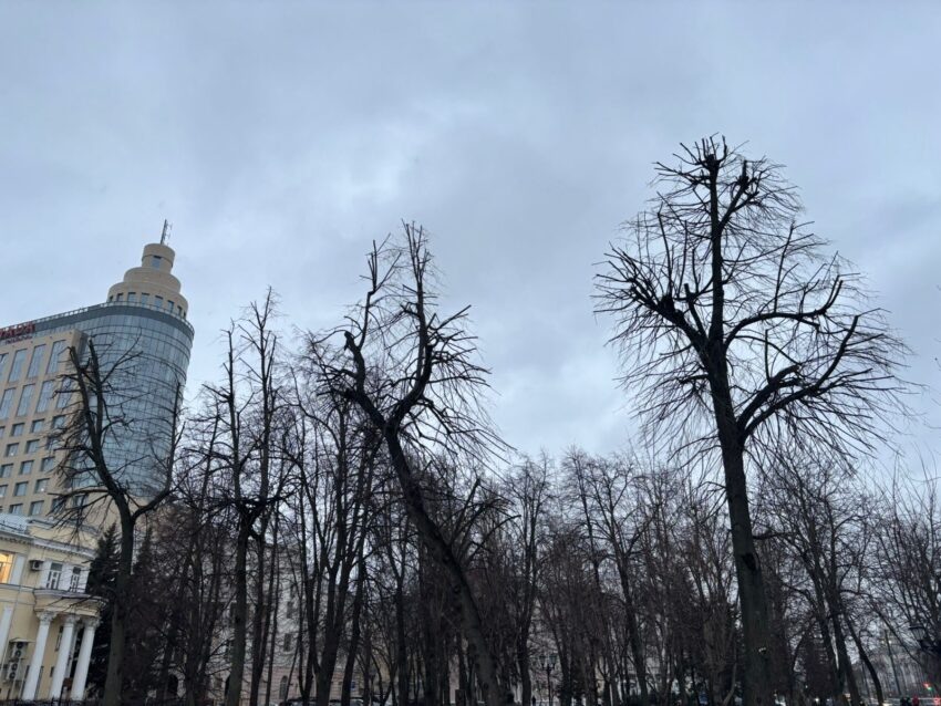    Управление экологии Воронежа.