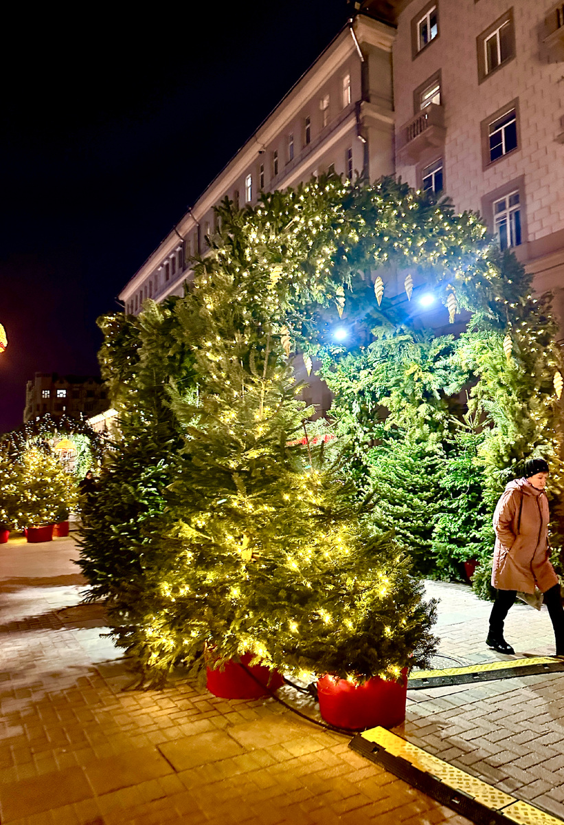 Фотография сделана автором