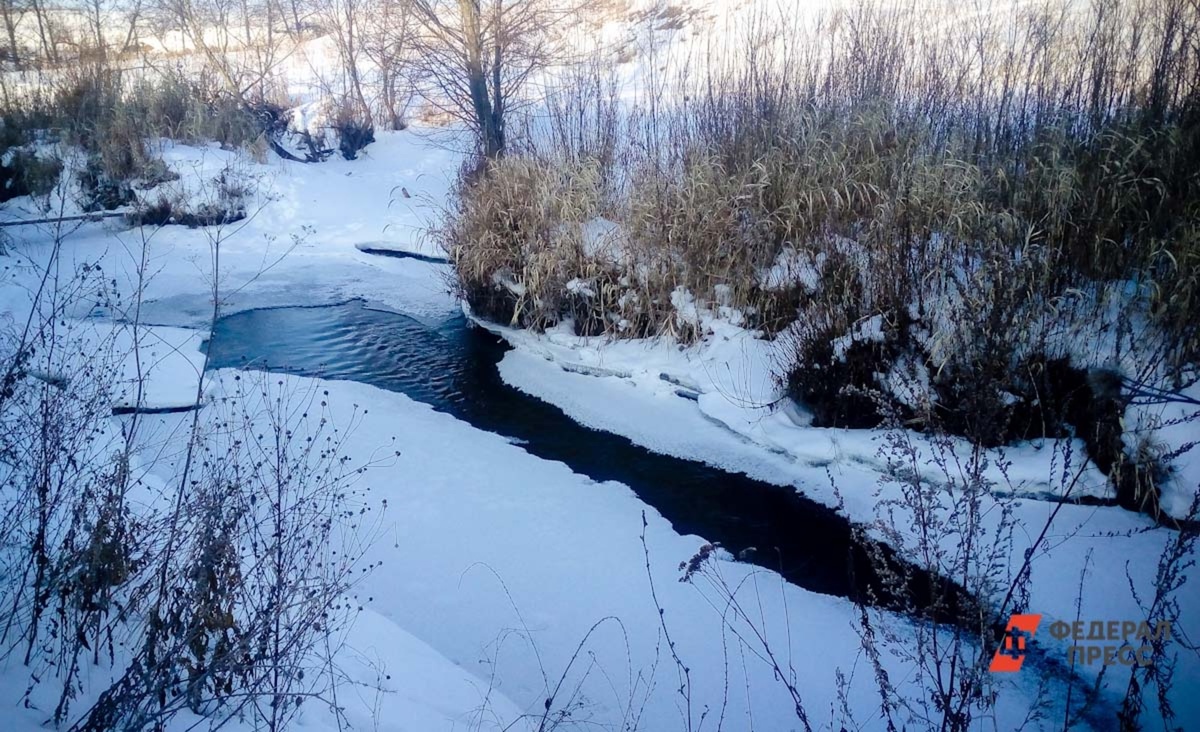 Высокое загрязнение обнаружили в реке рядом с поселками.  Фото: ФедералПресс / Дарья Сеймовская