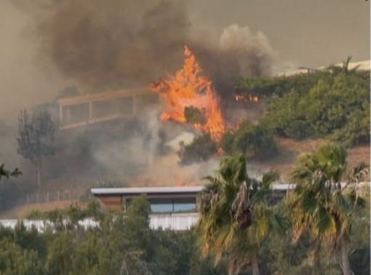 Соцсети Джеймса Вудса 