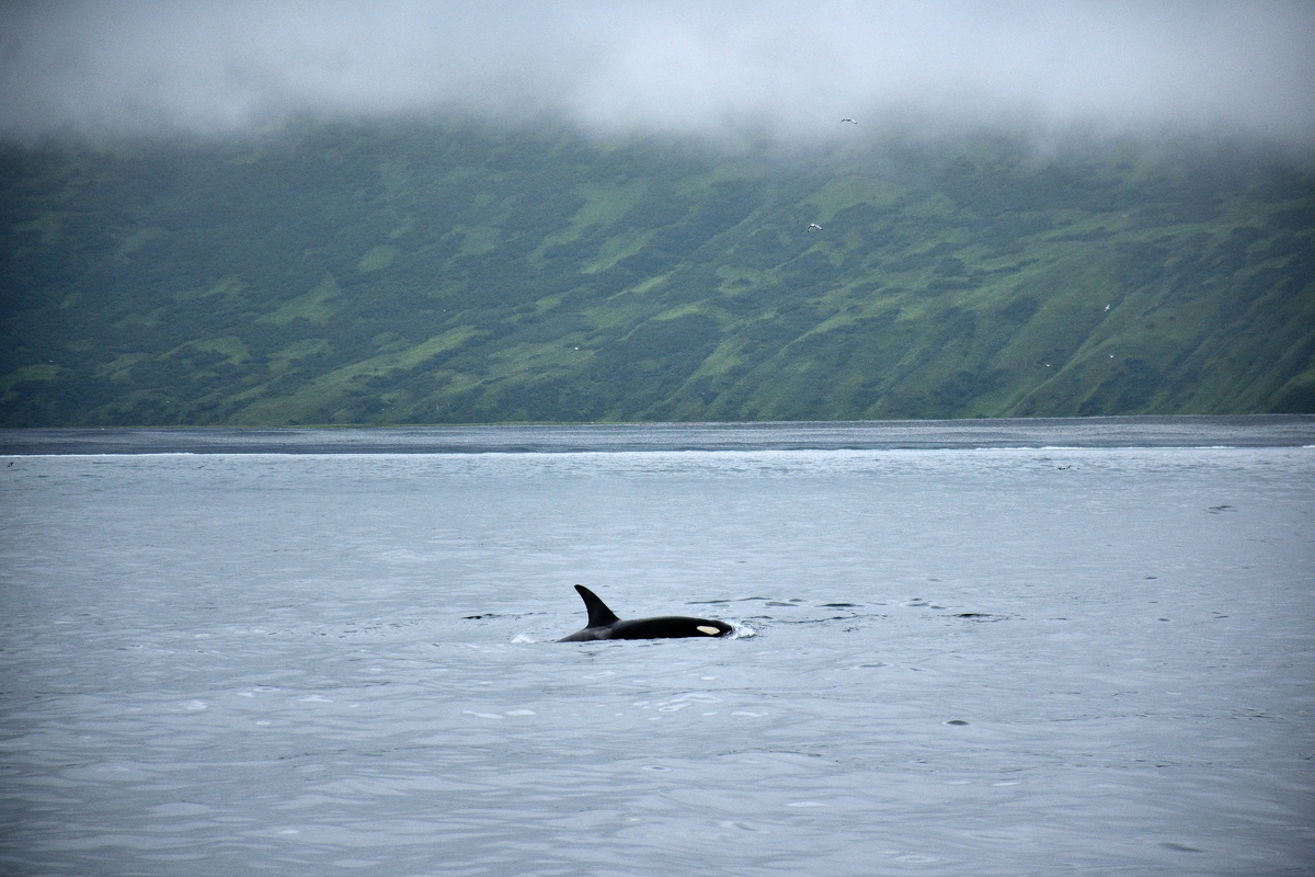 Тихий океан. Фото автора