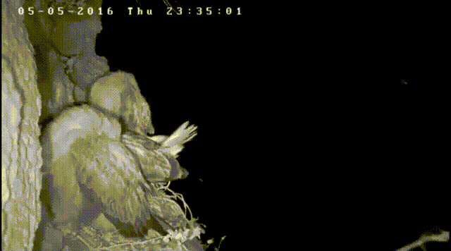 Получается, сказка была правдой? На краю ложиться нельзя? 