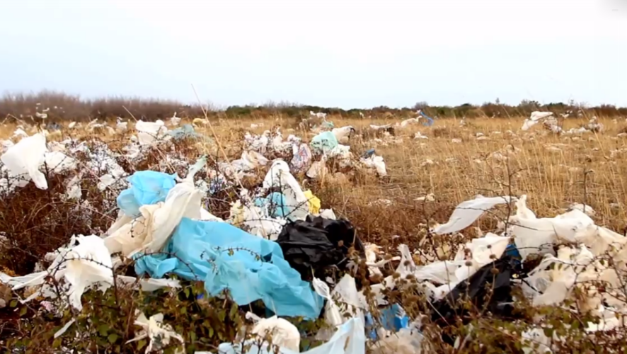    Фото: Прокуратура РТ