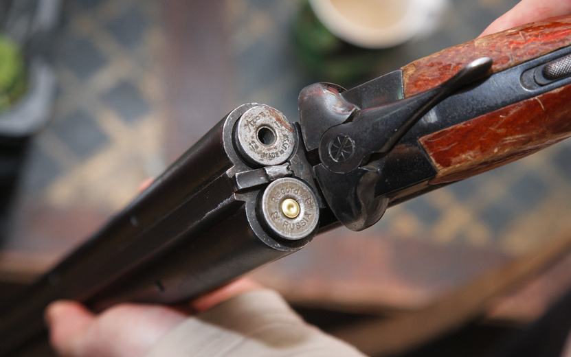    Руководителя общества охотников Удмуртии осудят за незаконную охоту на лосей