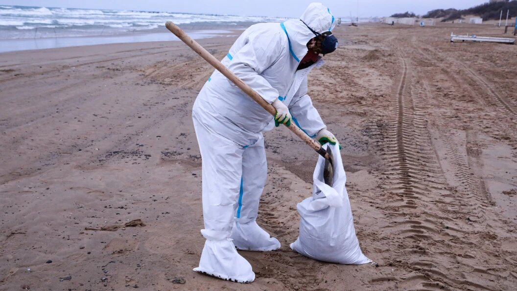    Фото: Roman Naumov/URA.RU/Globallookpress