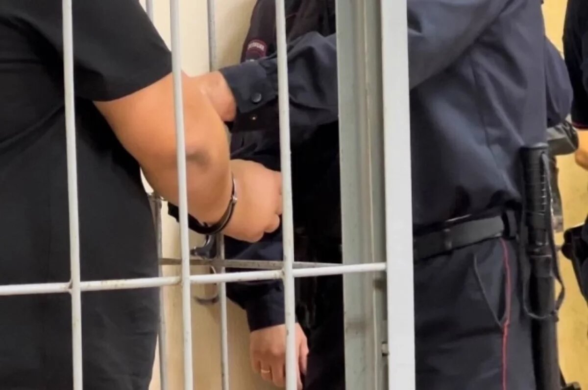    Напавшему на пристава жителю Самарской области дали 2 года условно