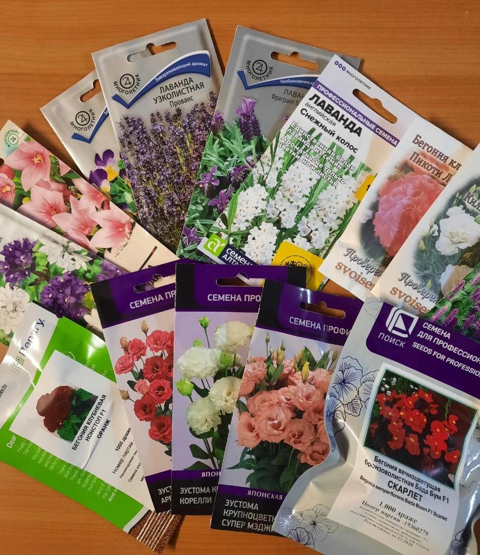 Первые на очереди в этом сезоне