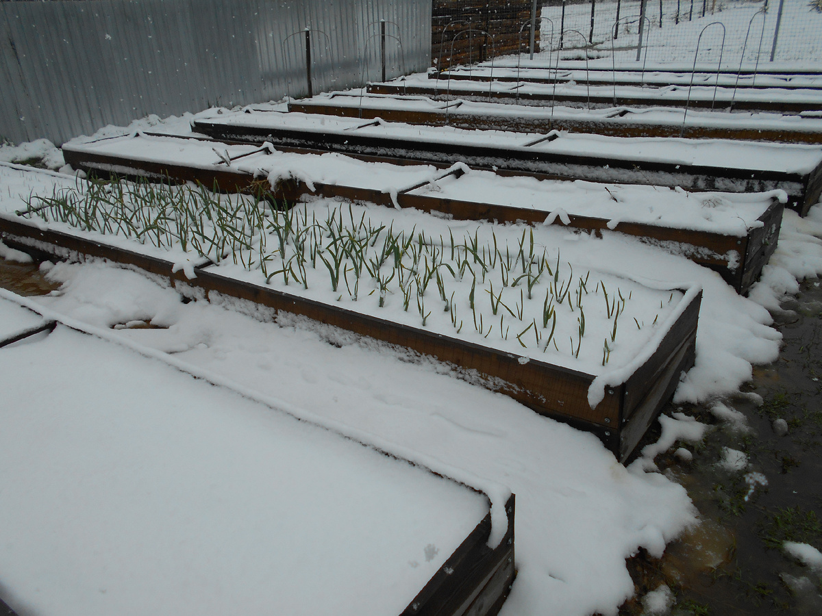 На Фото 25 мая ;)