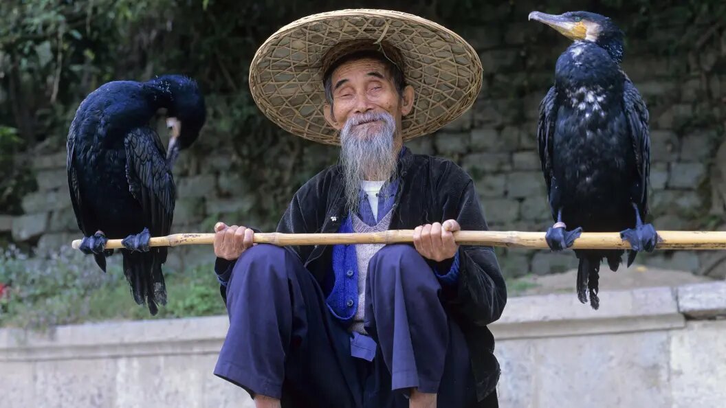    Foto Beck/imageBROKER.com/Globallookpress