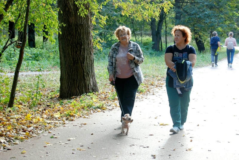    ФОТО: Alexander Legky/Global Look Press