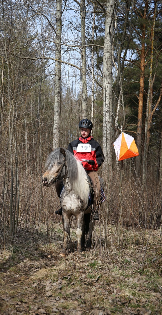 Ориентирование.