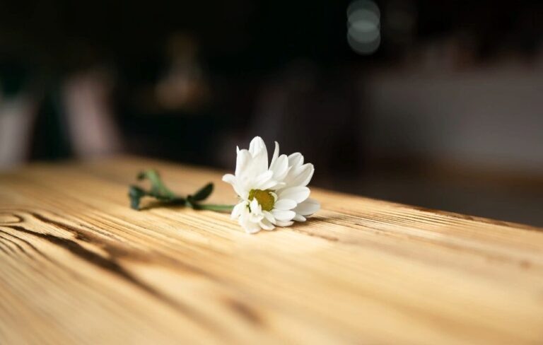    Фото: freepik.com/free-photo Екатерина Шахнина