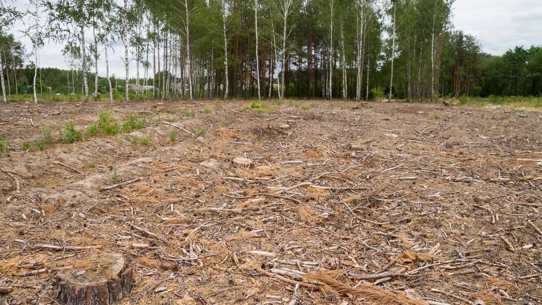    Фото: Ilya Galakhov/Global Look Pres