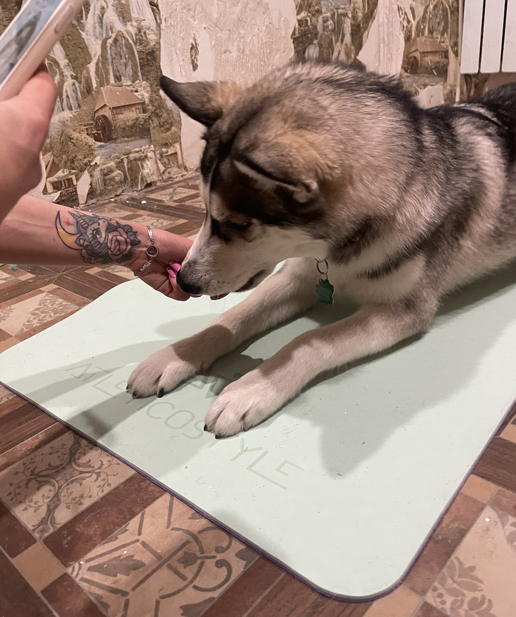 Получает награду 😘