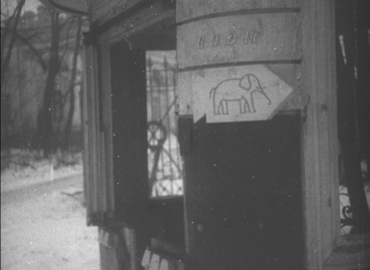 На фото виден знак 203-й бригады штурмовых орудий Вермахта. У Александровского дворца