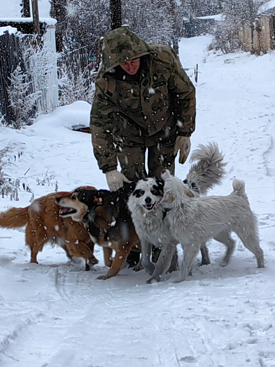 Собачье счастье