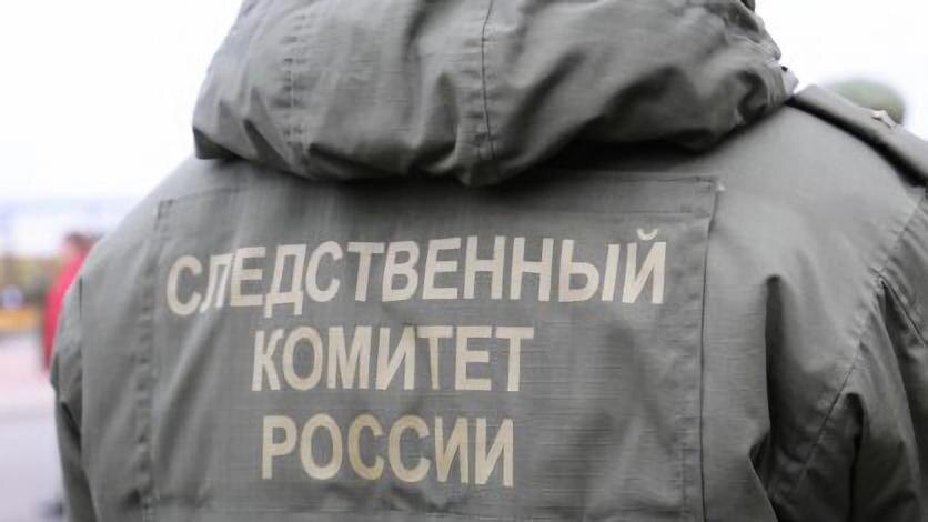    Фото: t.me/sledcom47