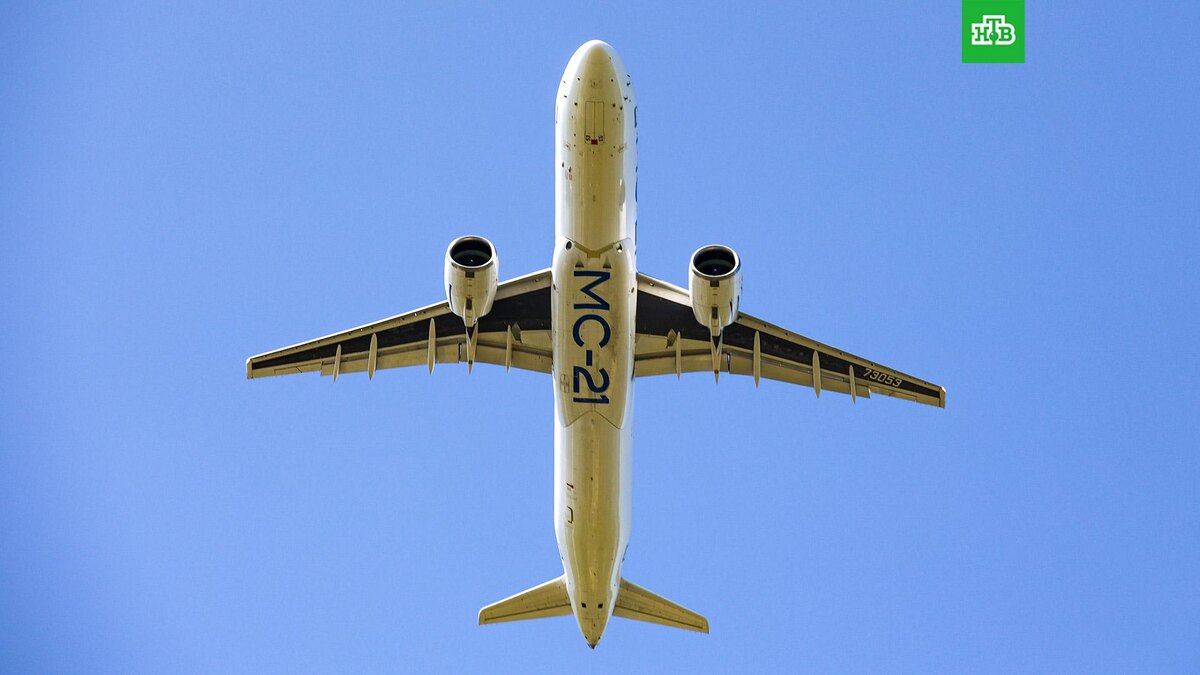    Фото: РИА Новости © 2025, Кирилл Шипицин