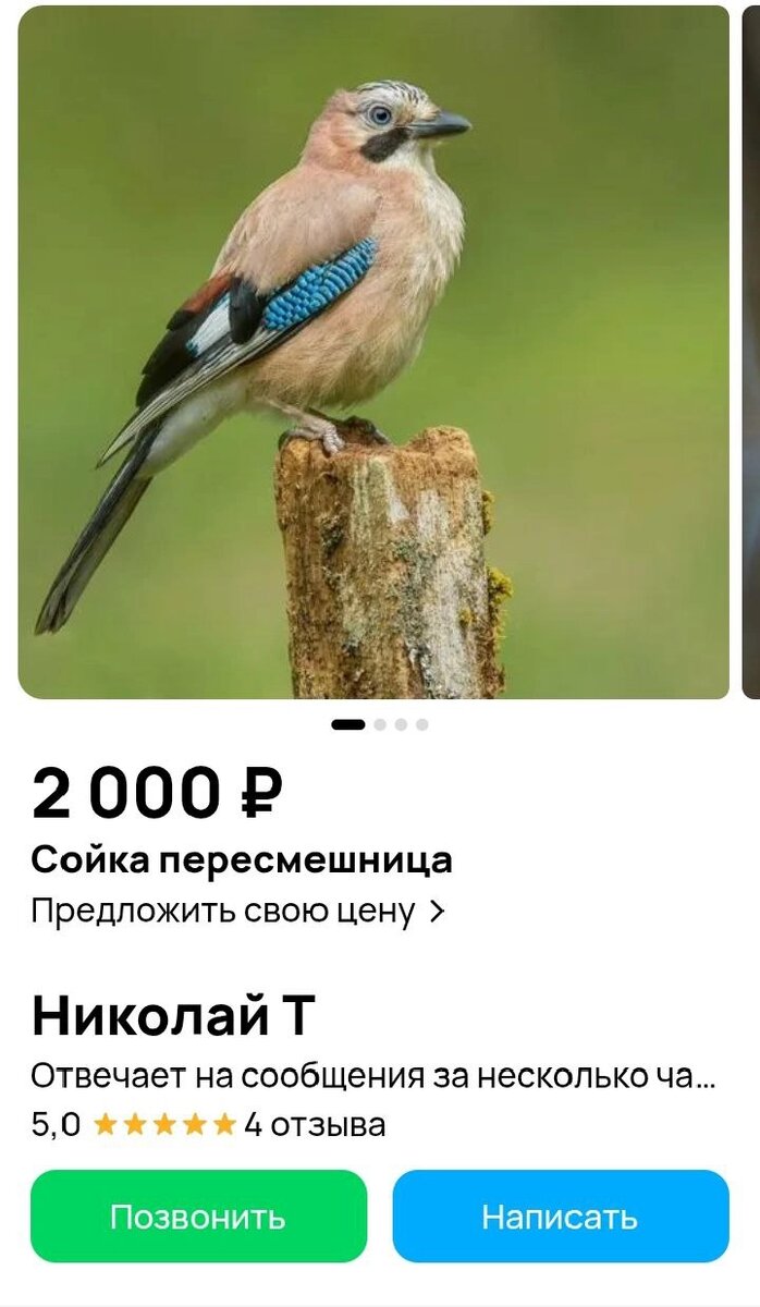    Фото: скриншот с сайта.