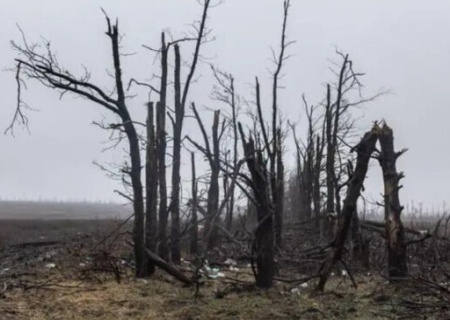    В ходе обмена в Россию вернулись тела 49 погибших военных, на Украину — 757