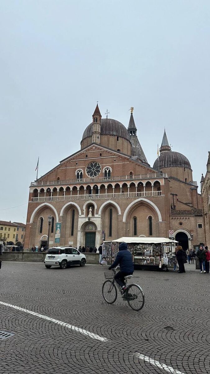 Листайте галерею 