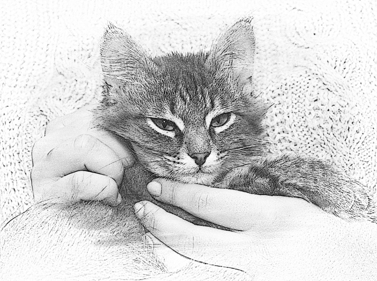 Для уюта надо не много