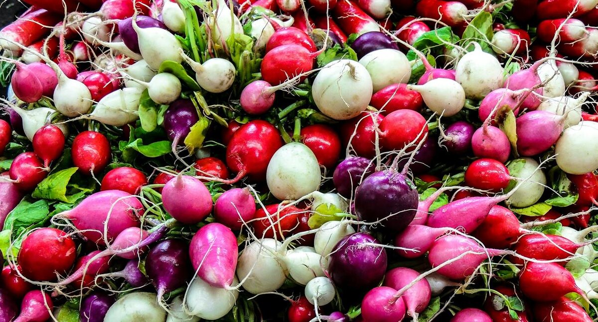 Фото: philippe collard / Unsplash