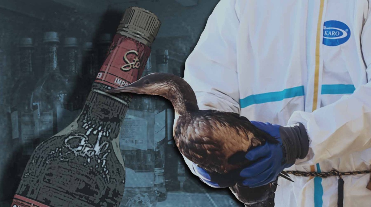    Коллаж: Daily Storm