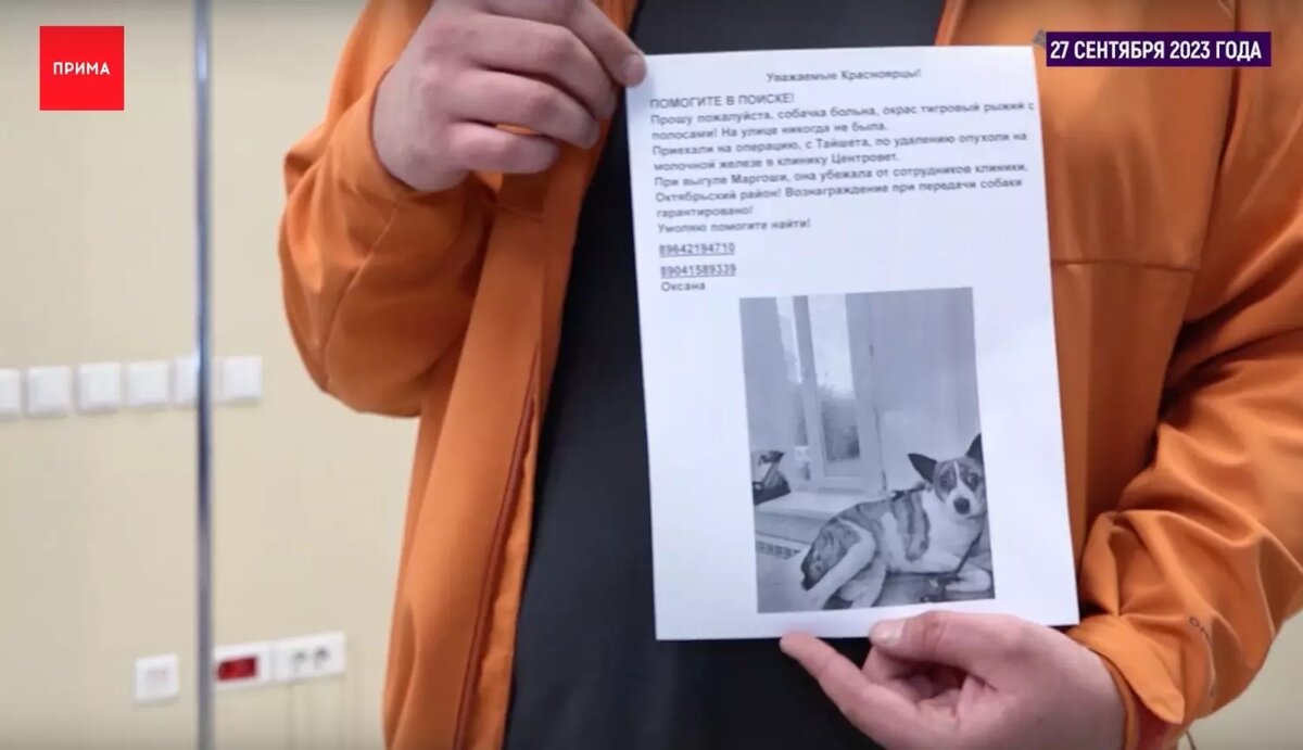     Источник: www.prima-tv.ru