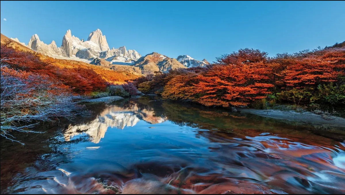 Природные заповедники представляют собой одну из главных достопримечательностей Аргентины. Фото из открытых источников. 