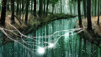 Zen Image
