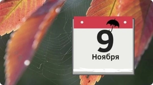 Изображение не нарушает правил платформы (Взято из открытых интернет-источников: vk.com)