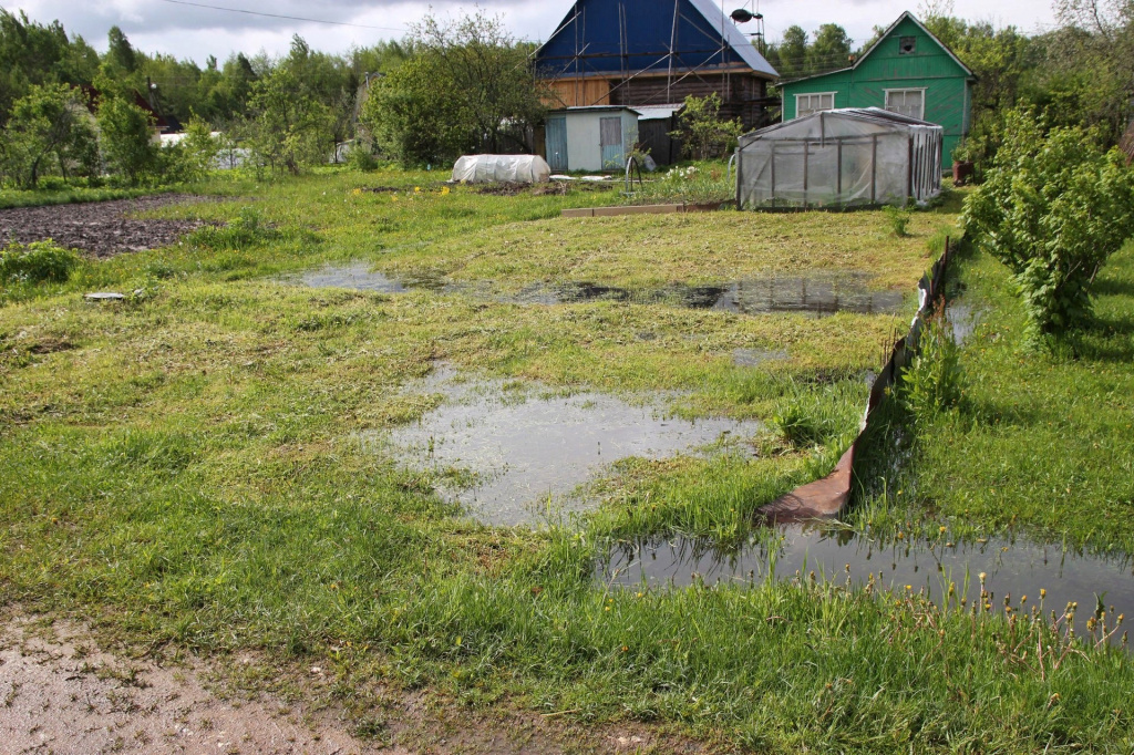 Застой воды на участке