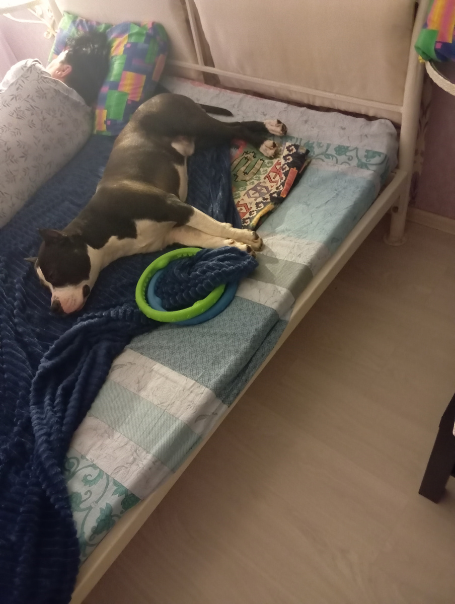 Хозяевам уже нужно о раскладушках думать.