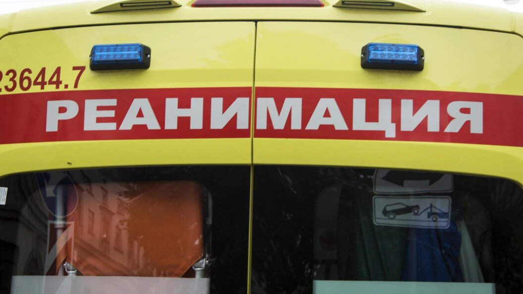    Фото: Nikolay Gyngazov/Globallookpress