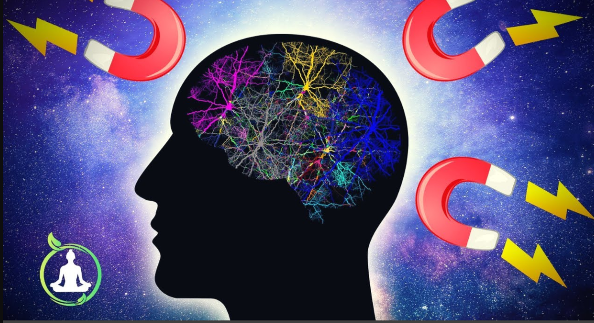 фото с интернета