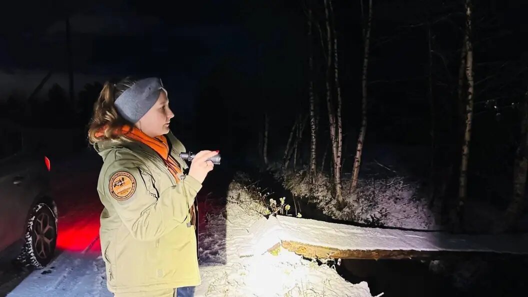    фото: Царьград