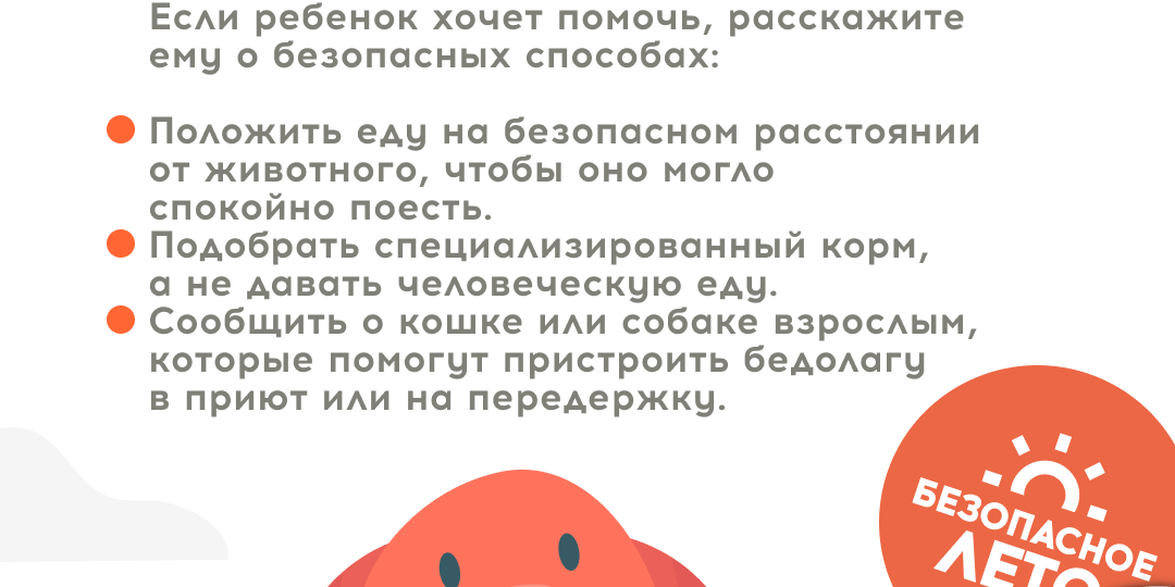 Как правильно помогать бездомным животным?