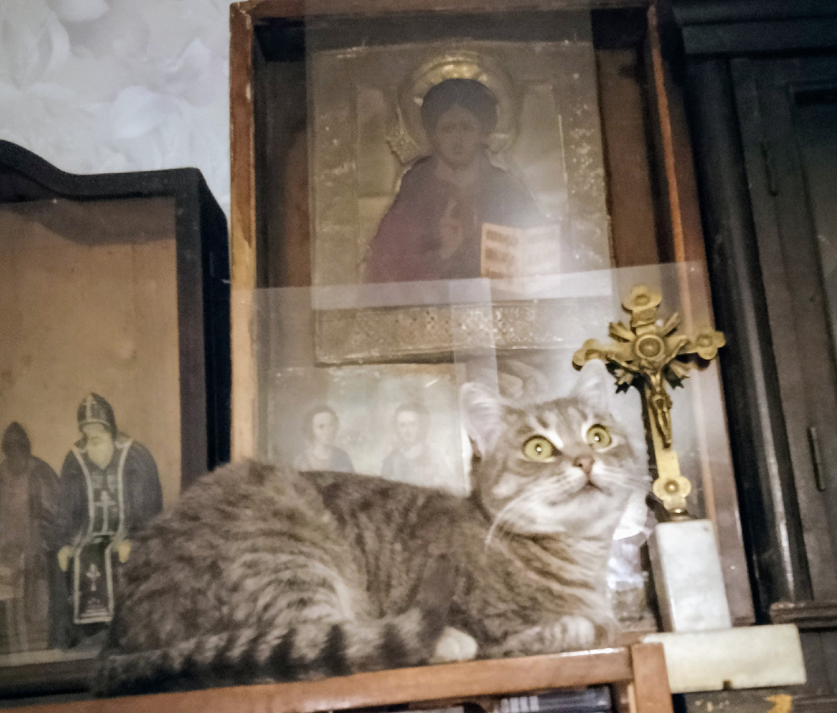 Милана любит лежать у икон. Уверена, что кошки и собаки тоже молятся по-своему