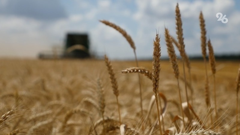      Фото: ИА «Победа26»