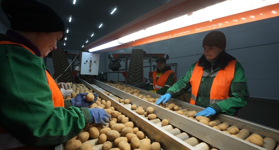    Медиасток.рф