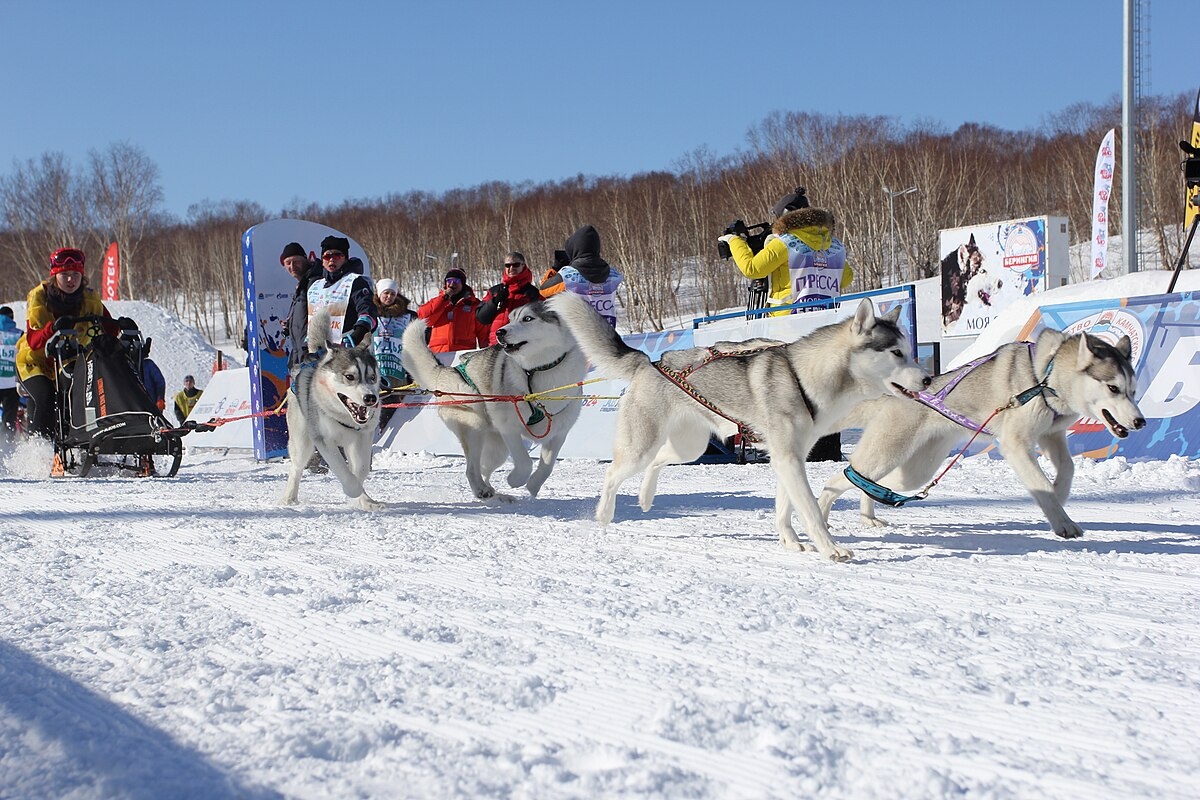 Фото: LokkLamora