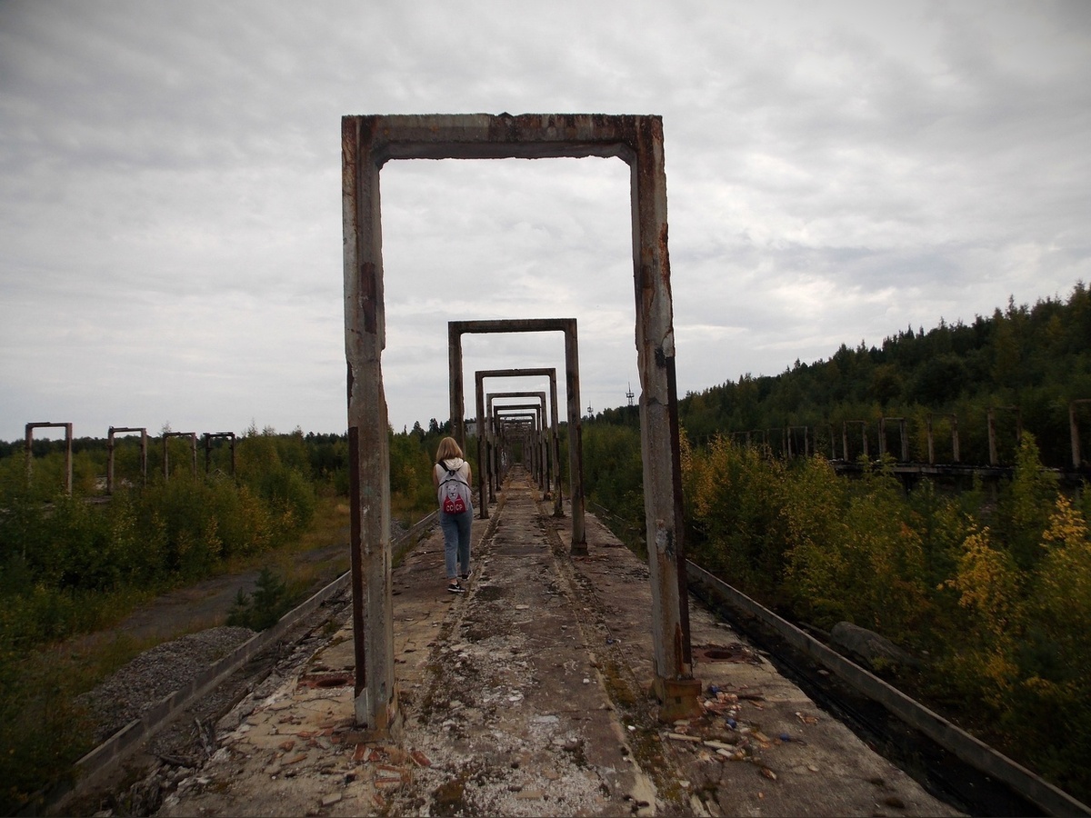 Его образованию нужно отдать должное Российским и Шведским инжинерам. 