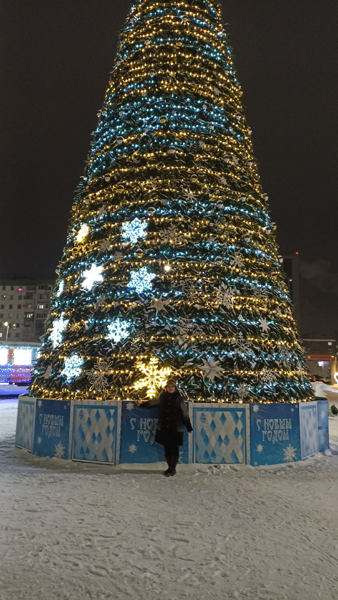 сегодня на прогулки обнаружили пропажу . елку разобрали . и все ледяные детали .