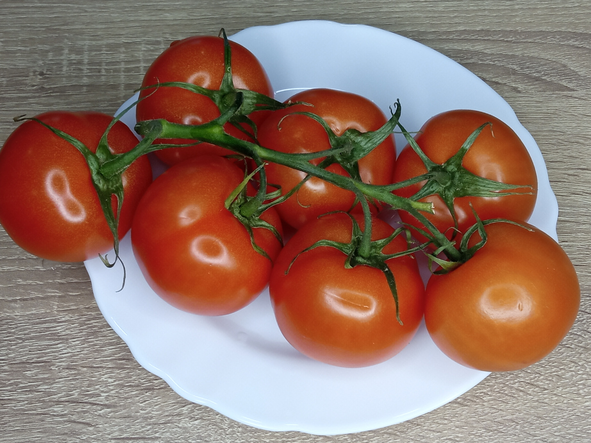 Фото автора " Лариса - Вкусно дома "