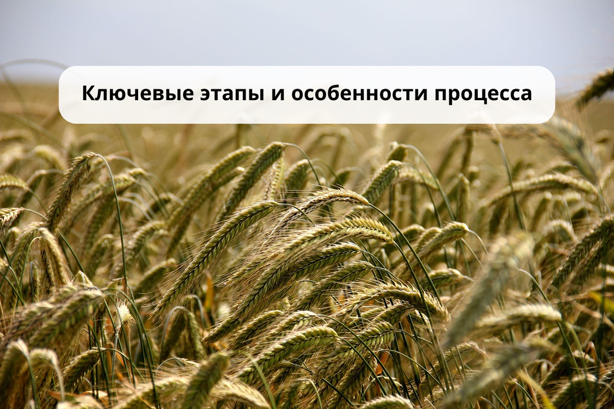 Как перевести сельхозземли в земли населенного пункта / Правовой центр «Два М»