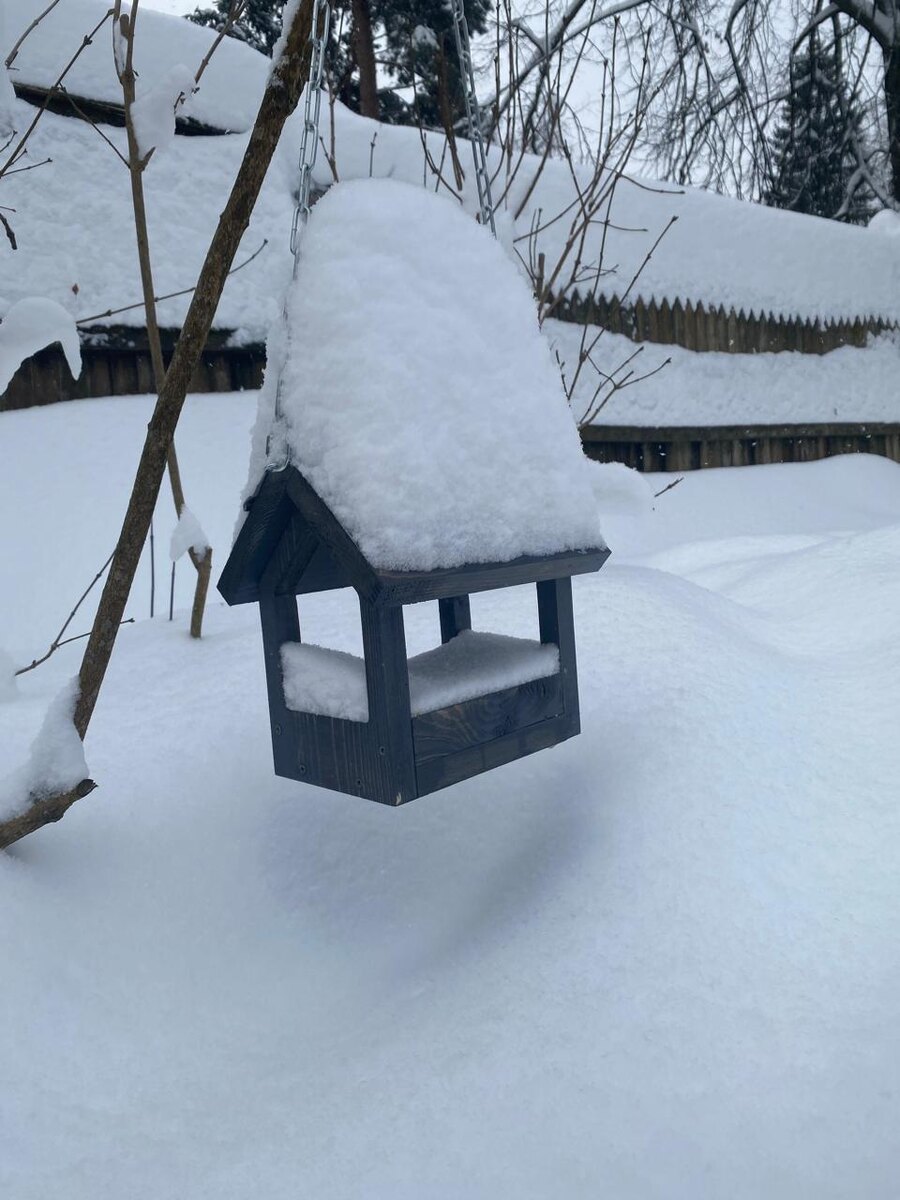 Первая кормушка. Первый год.