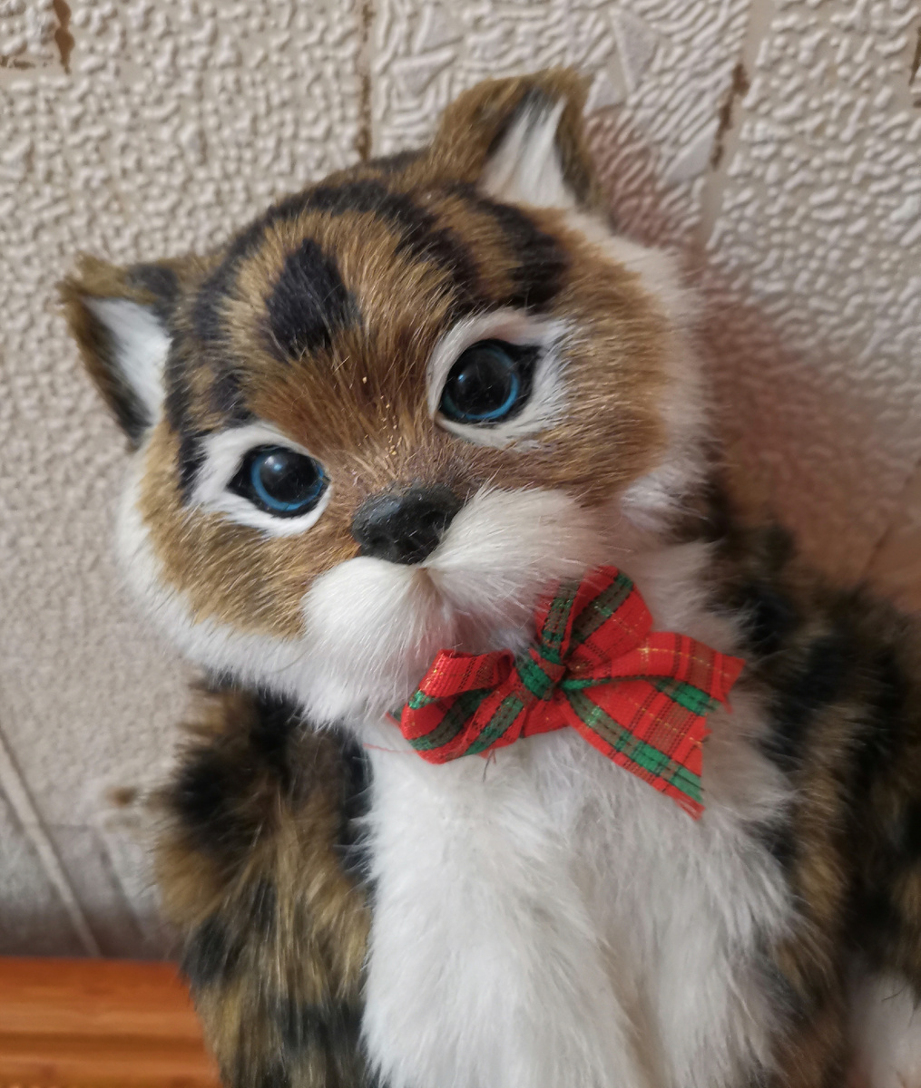 Интерактивный кот.