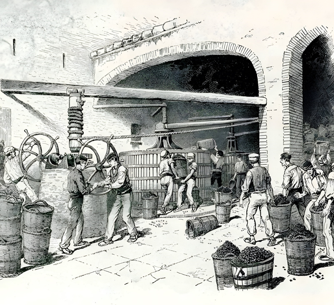 Codorníu – старейшая винодельня в Испании