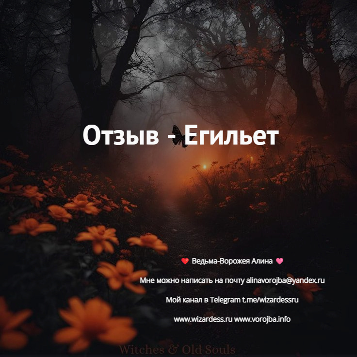 приворот отзывы t.me/wizardessru